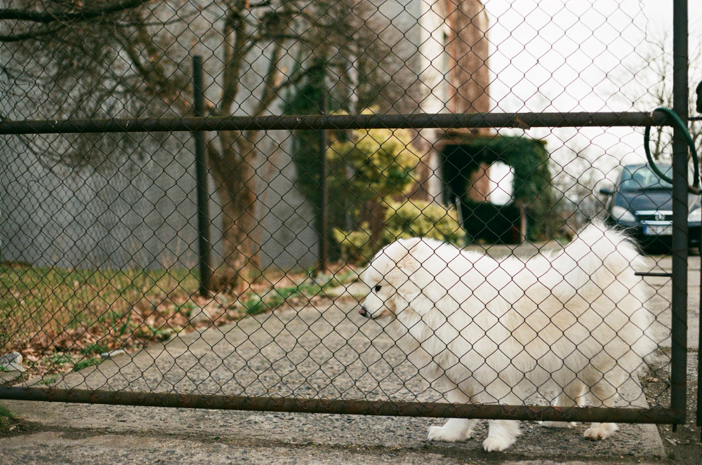 Дренаж участка на склоне
